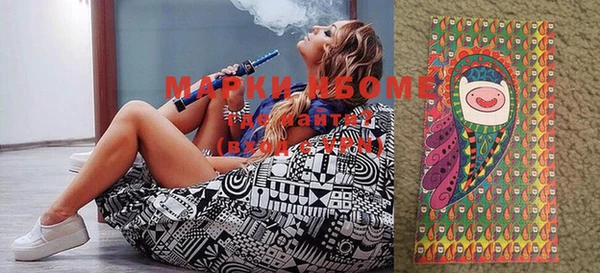 индика Волоколамск