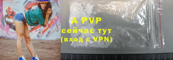 индика Волоколамск