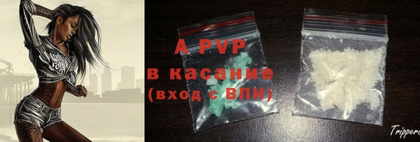индика Волоколамск