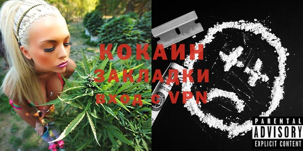 индика Волоколамск