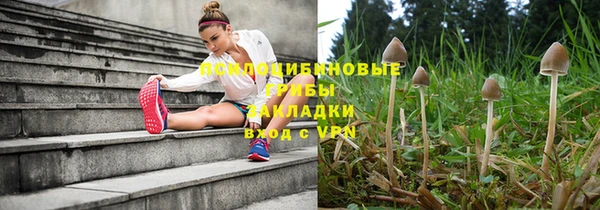 индика Волоколамск