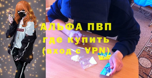 индика Волоколамск