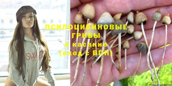 круглые Бородино